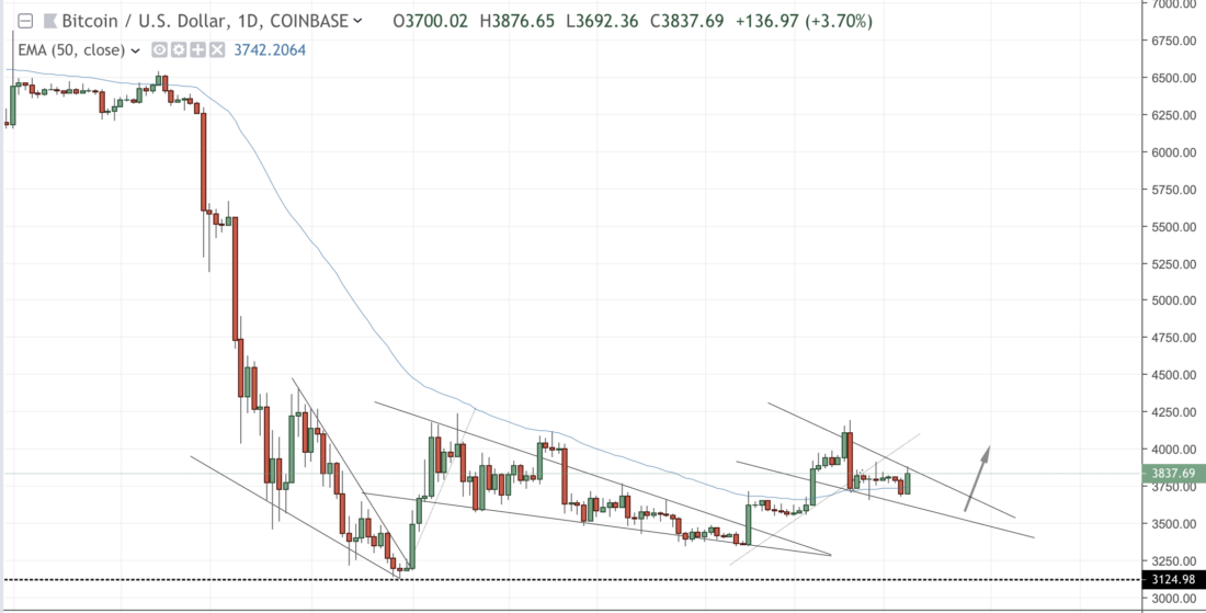 ceb4092a32670c0133820039636e1905